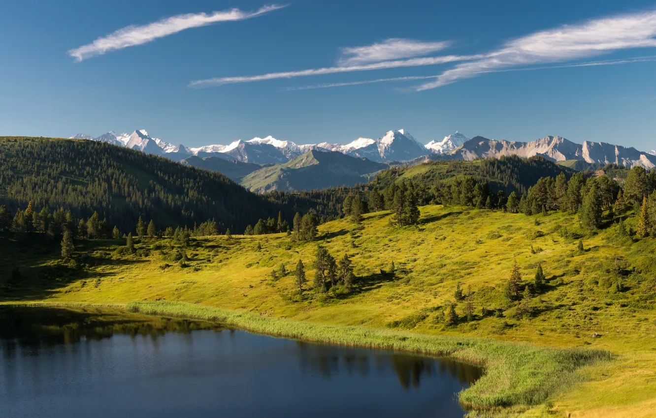 Photo wallpaper forest, trees, mountains, lake, Switzerland, Alps, Switzerland, Alps
