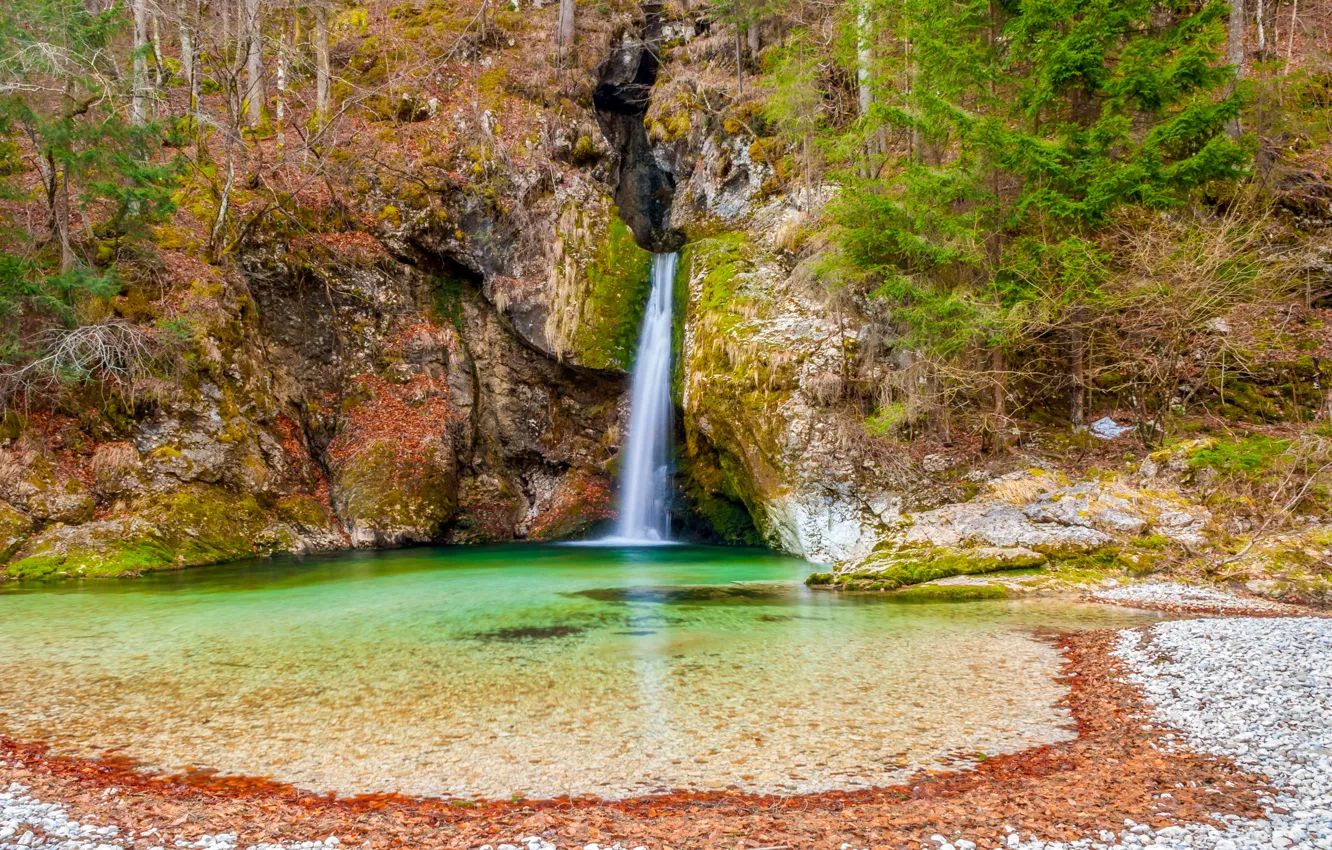 Photo wallpaper forest, rock, stones, waterfall, moss, Slovenia, Bohinj, Grmecica waterfall