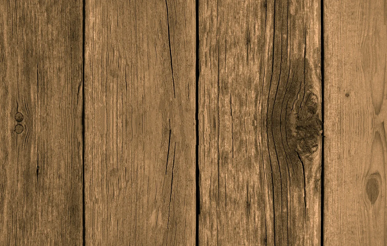 Photo wallpaper trees, Board, structure