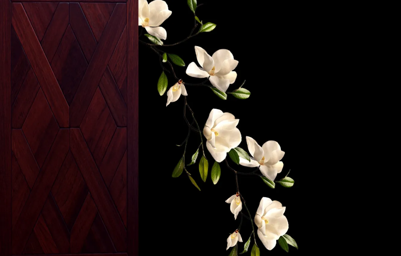 Photo wallpaper plant, branch, bunch, blooming, magnolias