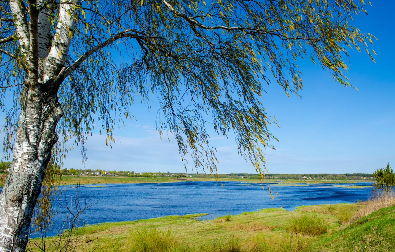 Photo wallpaper field, summer, the sky, grass, water, landscape, nature, river