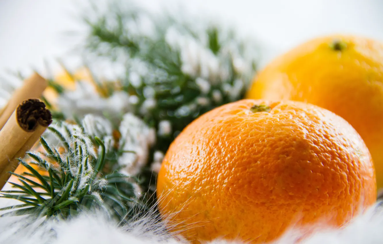 Photo wallpaper branches, holiday, new year, ate, tangerines