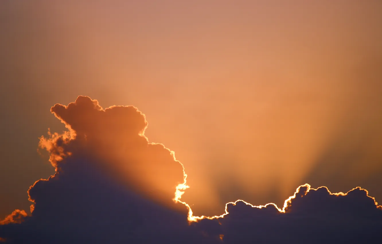 Photo wallpaper the sun, clouds, sunset, sunrise, The bloody sky