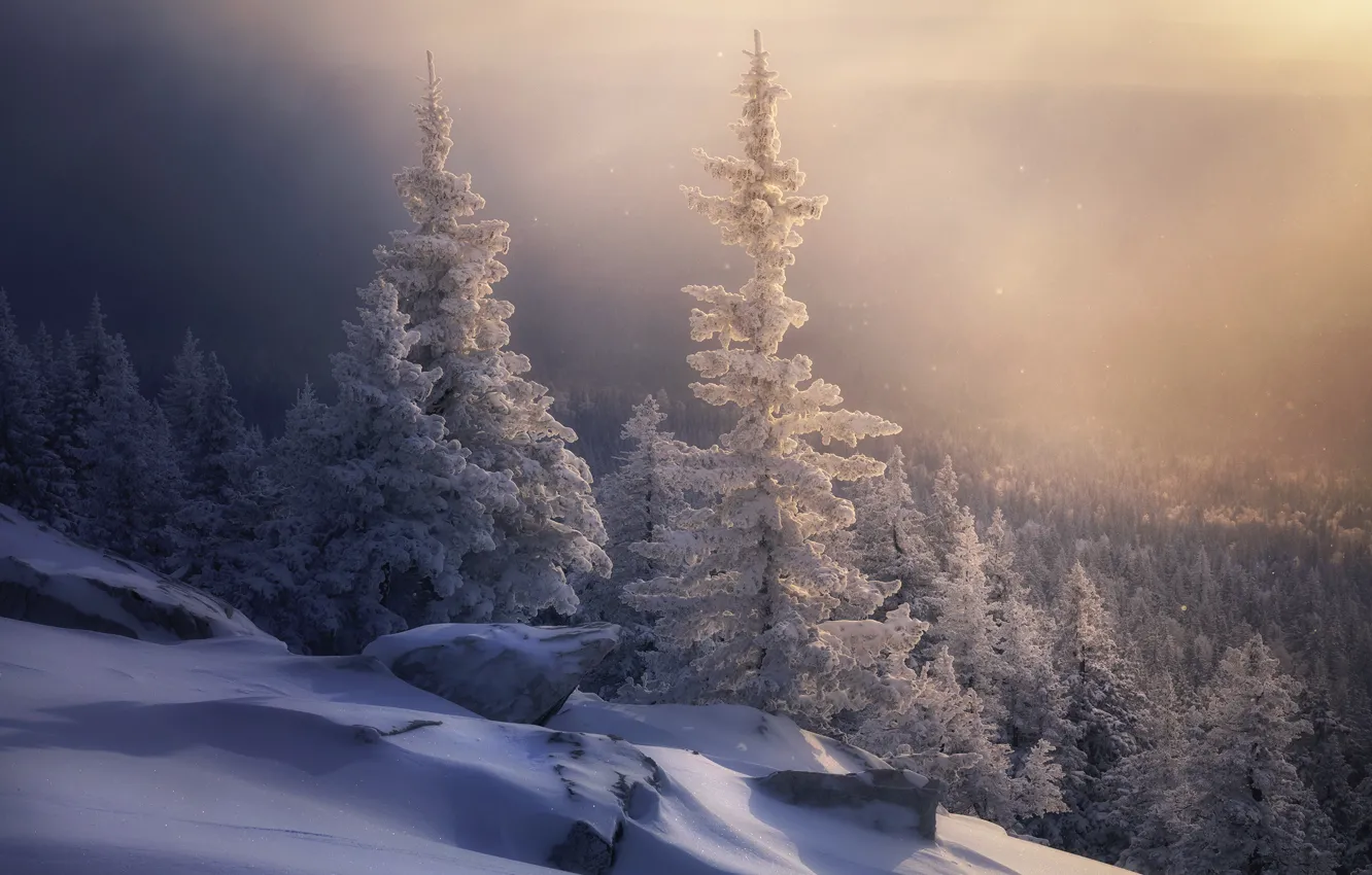 Photo wallpaper winter, forest, snow, ate, slope, the snow, Russia, The Ural mountains