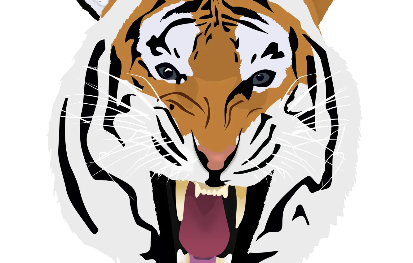 Photo wallpaper face, tiger, predator, head, art, fangs, grin, white background
