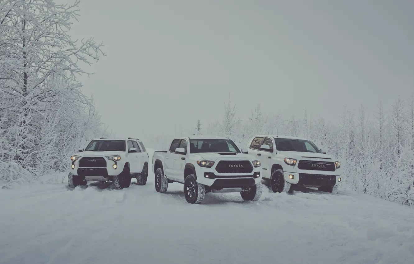 Photo wallpaper winter, snow, white, Toyota, pickup, snow, pickup, TRD