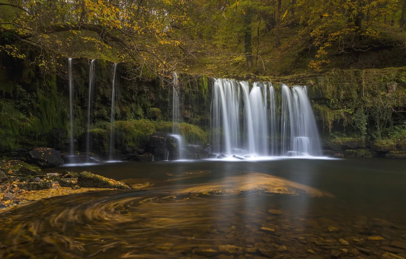 Photo wallpaper forest, water, stones, waterfall