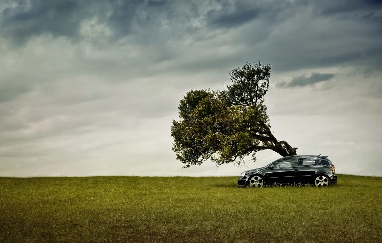Photo wallpaper field, the sky, trees, nature, Volkswagen, drives, black