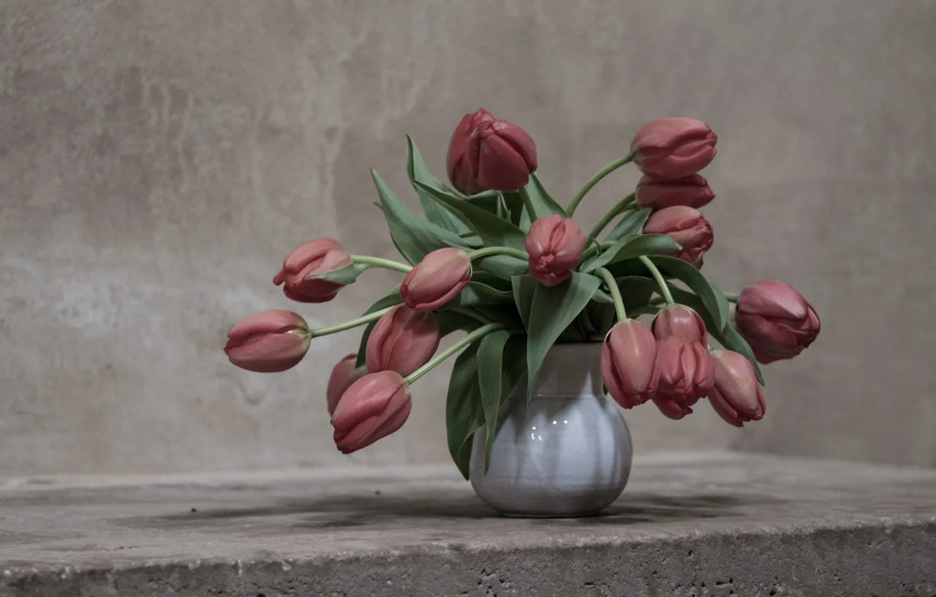 Photo wallpaper flowers, background, tulips