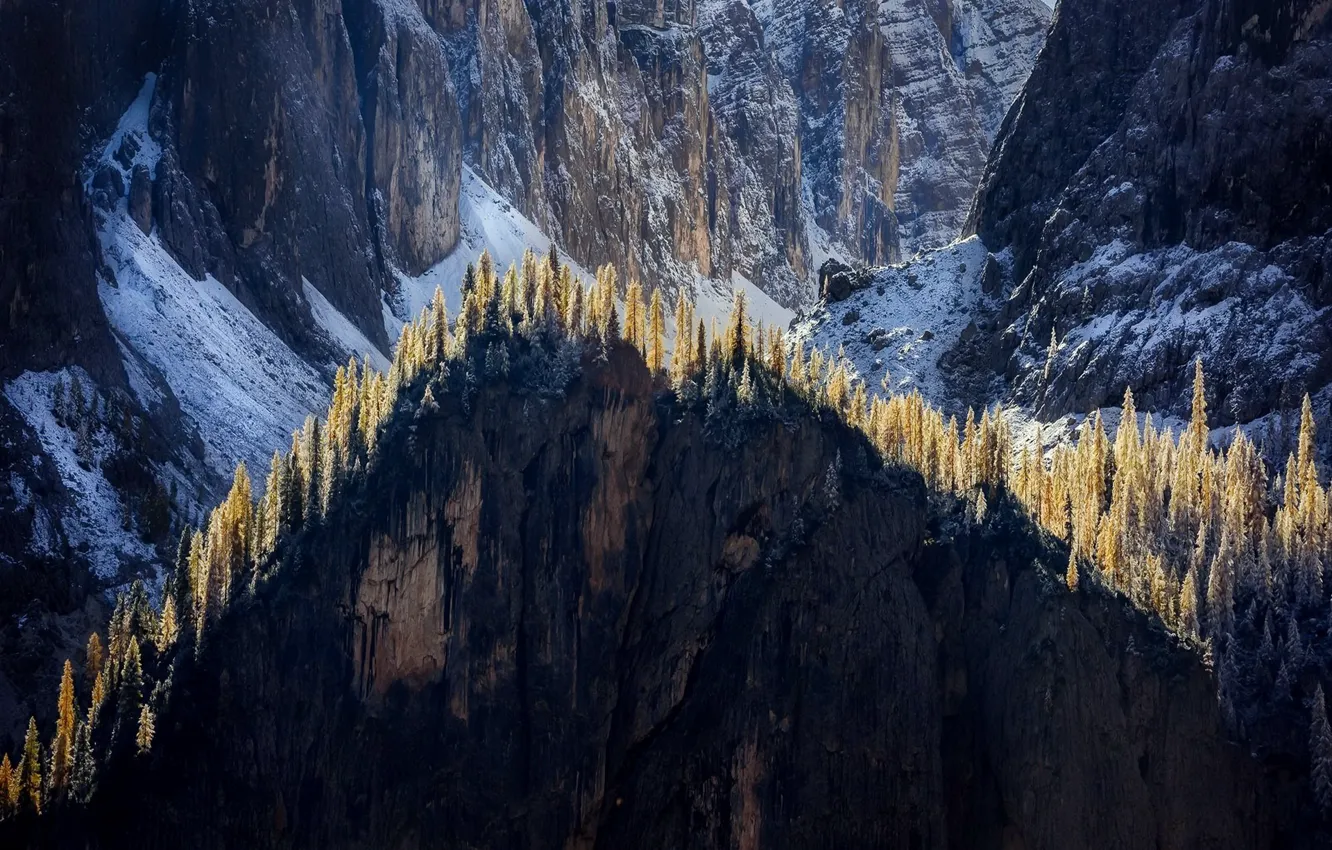 Photo wallpaper light, trees, mountain