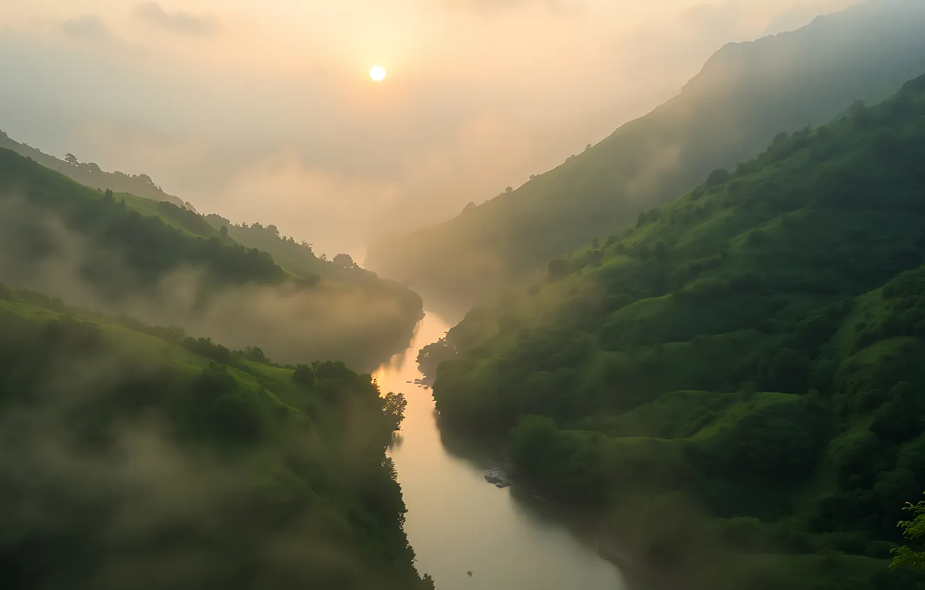 Photo wallpaper forest, the sun, clouds, mountains, fog, river, dawn, hills