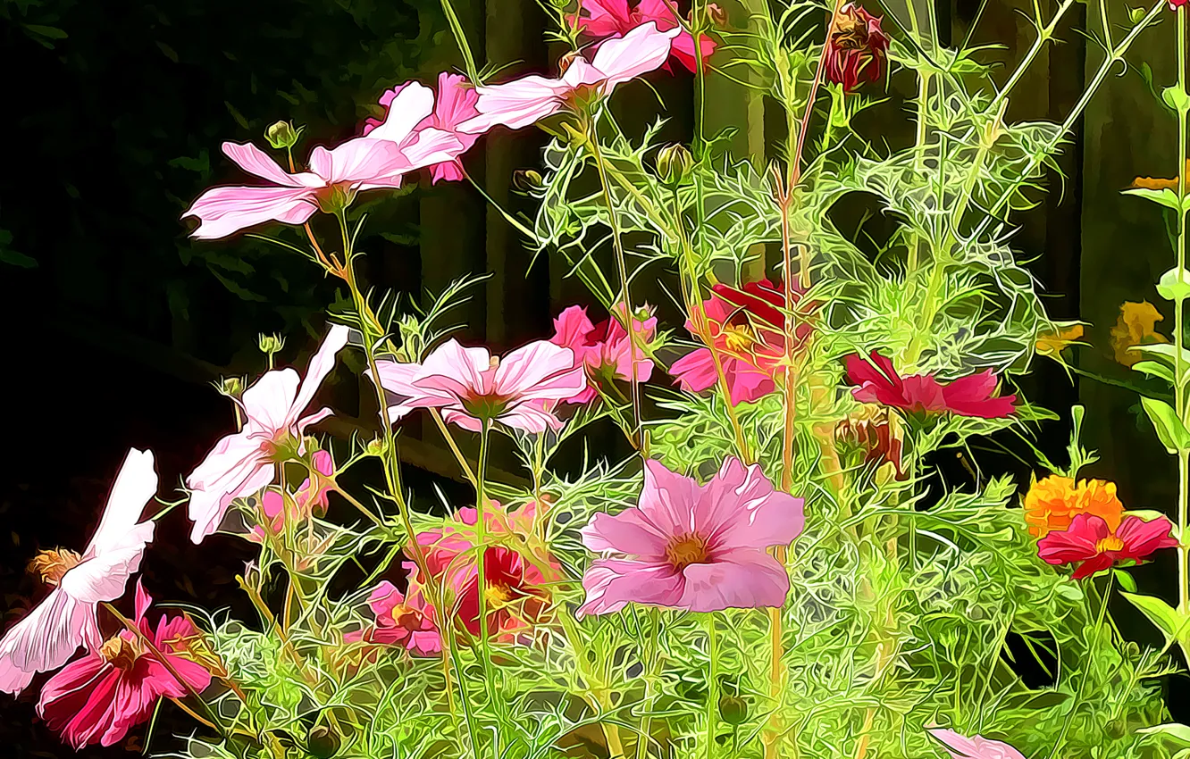 Photo wallpaper rendering, petals, garden, stem, meadow