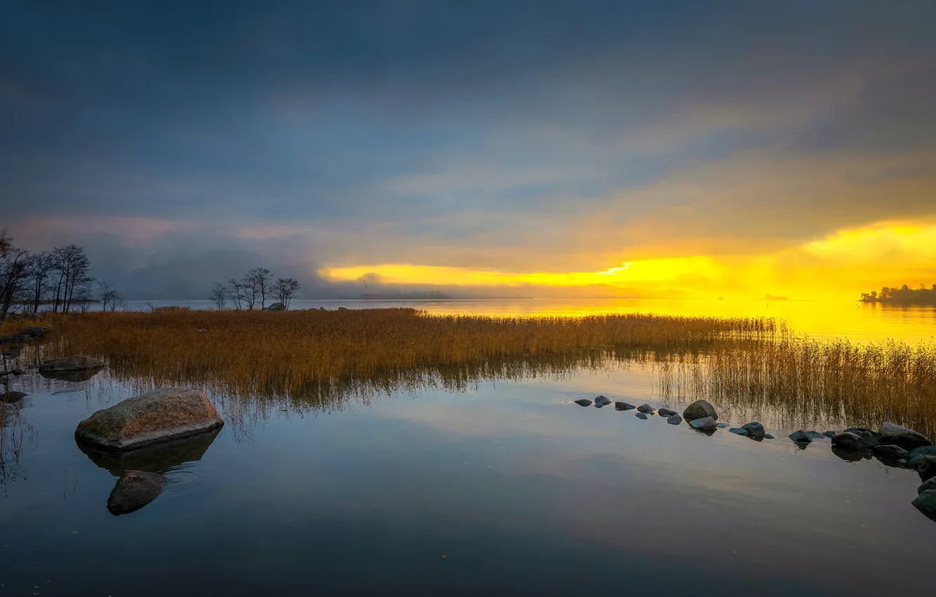 Photo wallpaper forest, the sky, trees, sunset, lake, stones, shore, reed