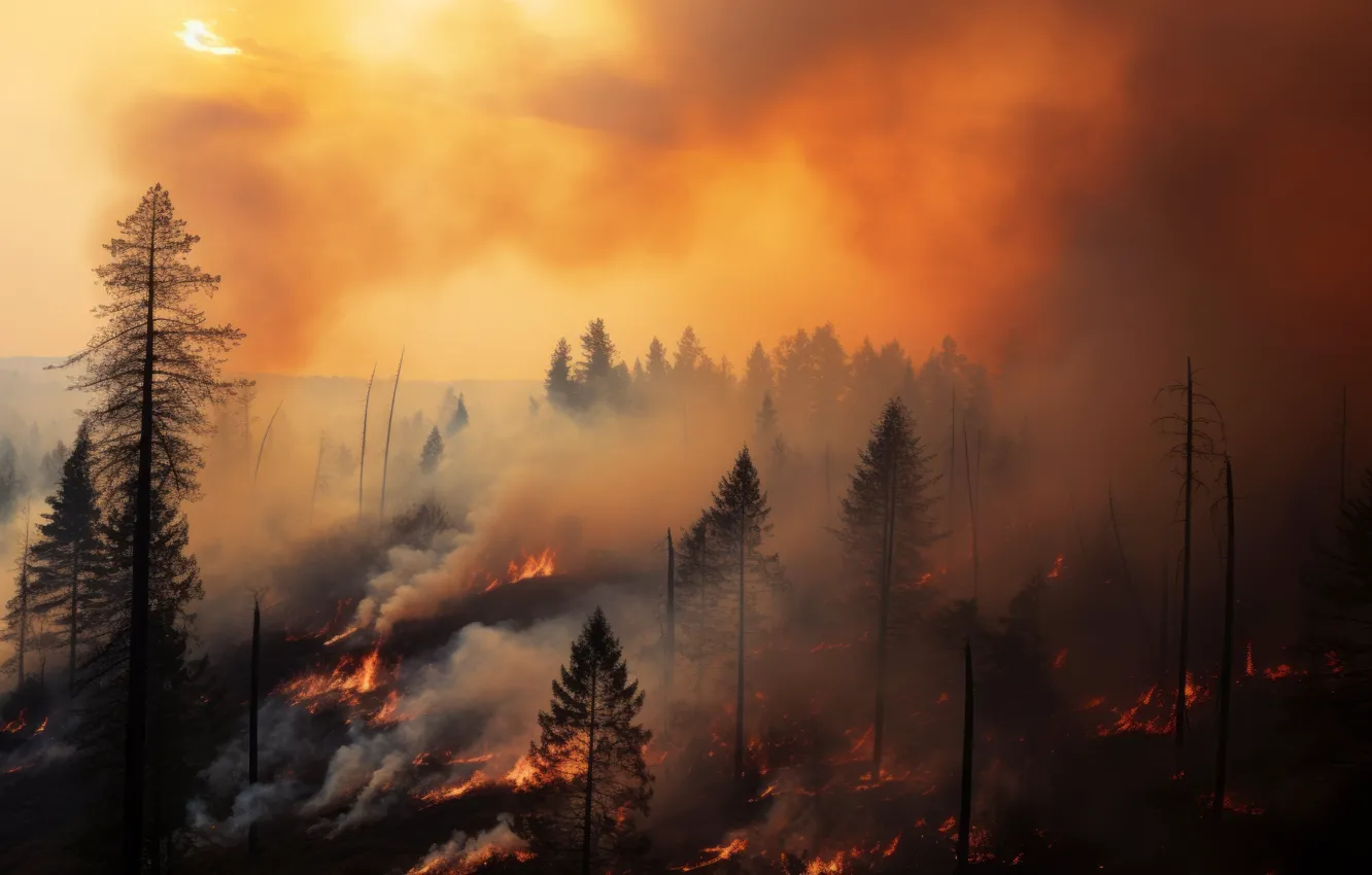 Photo wallpaper forest, nature, fire