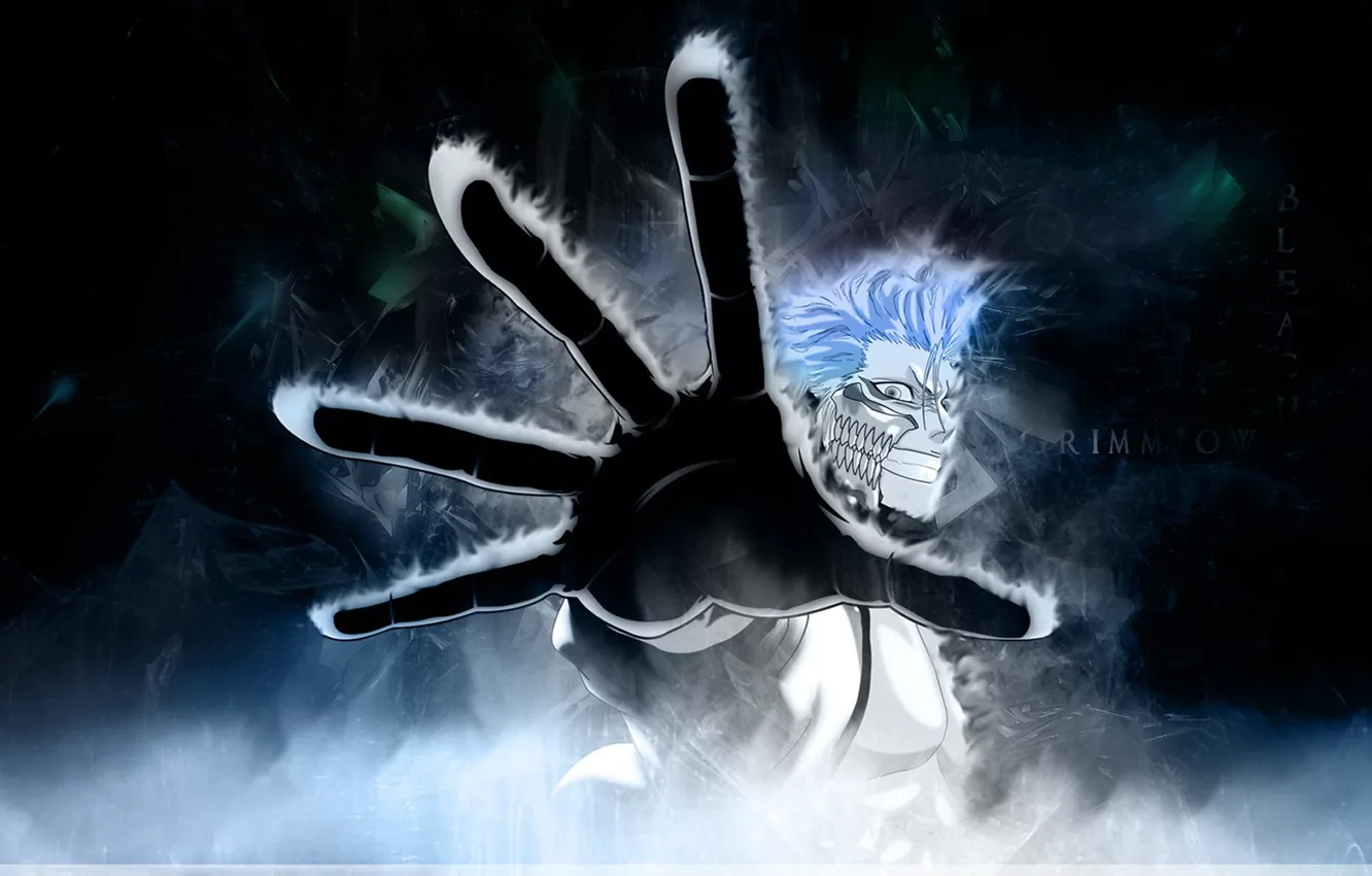 Photo wallpaper bleach, bleach, grimmjow