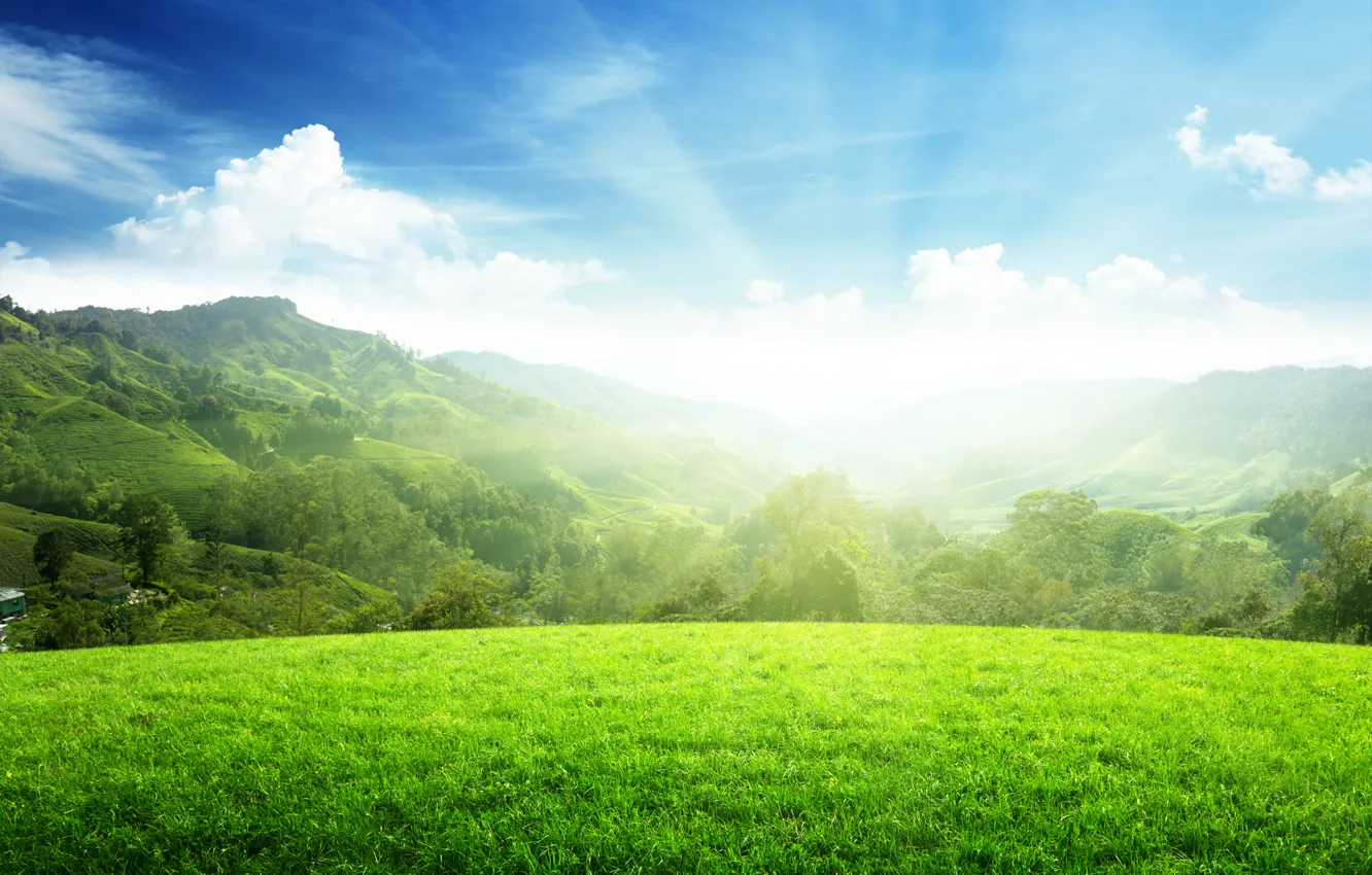 Photo wallpaper the sky, grass, landscape, mountains, panorama