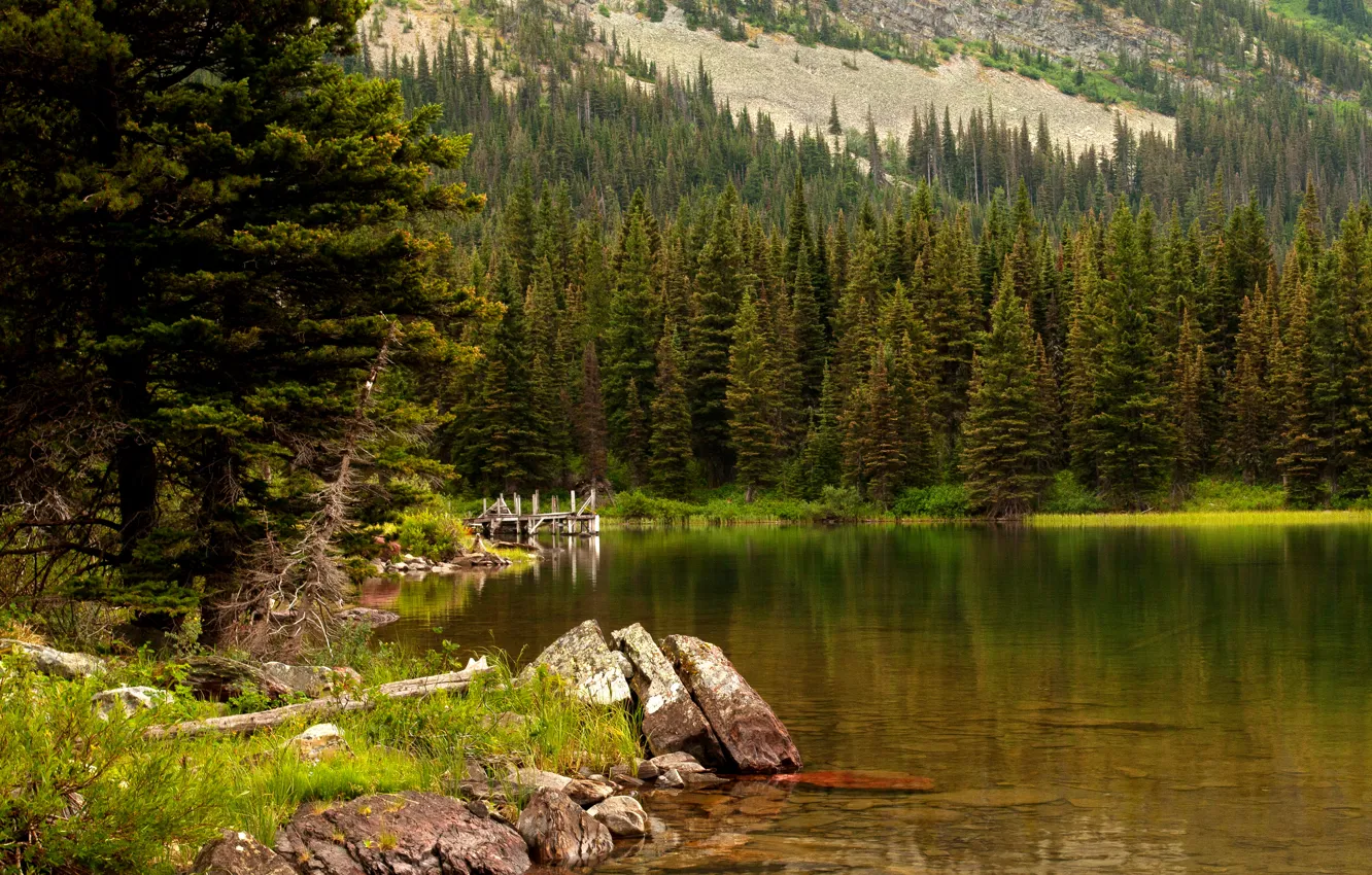 Photo wallpaper forest, grass, trees, lake, stones, USA, Glacier National Park, Swiftcurrent Lake