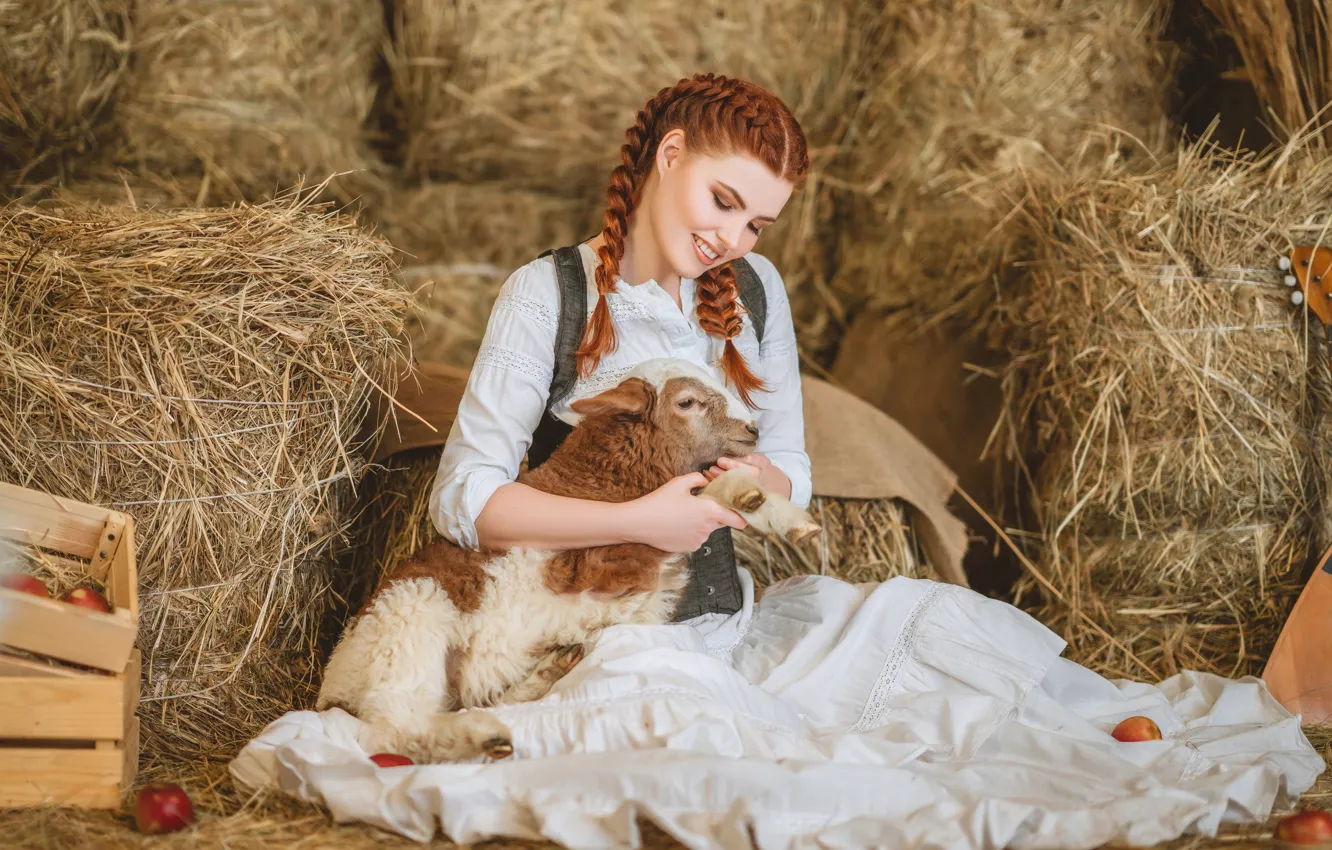 Photo wallpaper girl, smile, hay, red, lamb, redhead, sheep, braids