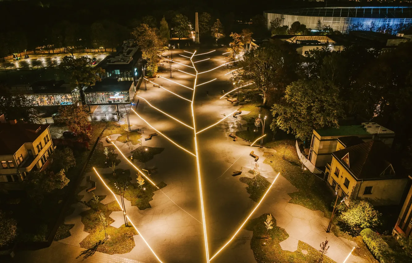 Photo wallpaper Lithuania, Kaunas, Oak Forest