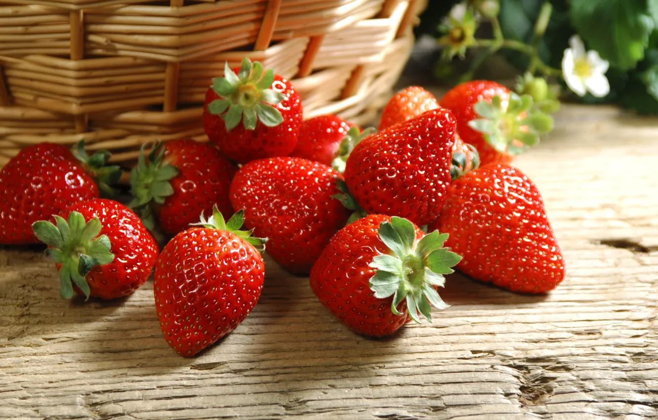 Photo wallpaper Wallpaper, strawberry, berries