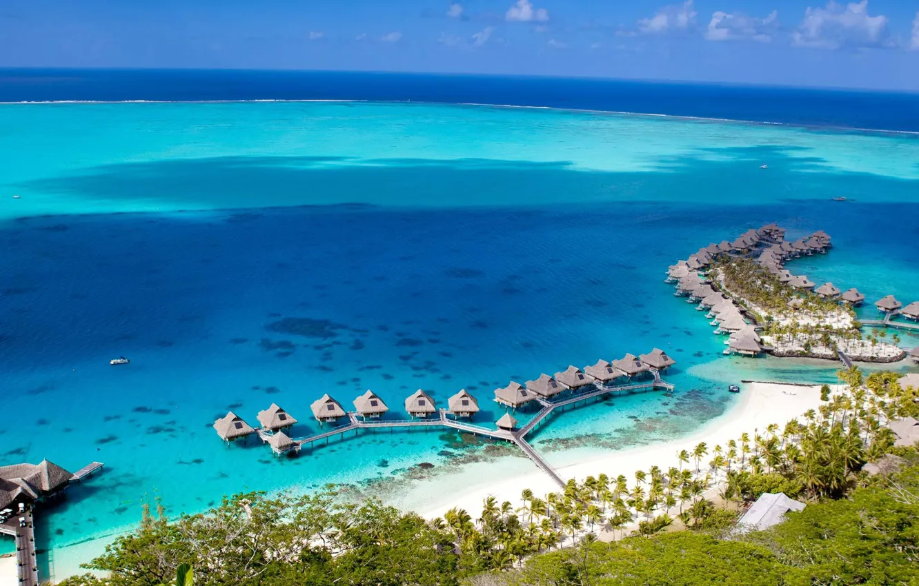 Photo wallpaper beach, palm trees, the ocean, the hotel, exotic, the area