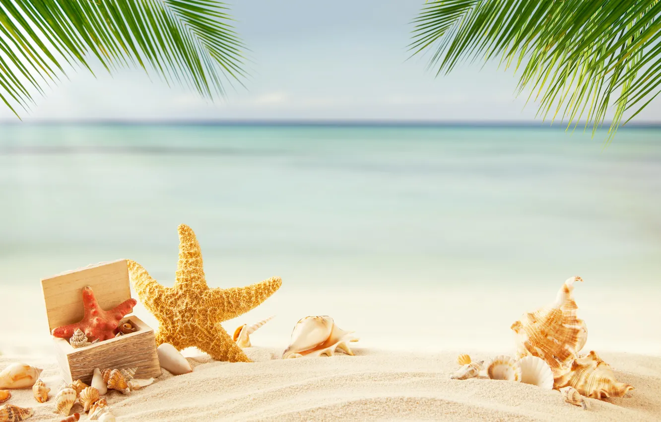 Photo wallpaper sand, sea, wave, beach, summer, the sky, stars, palm trees