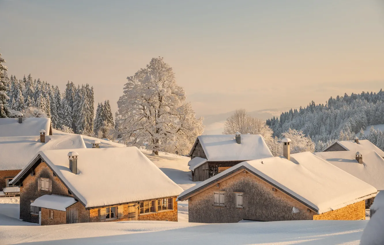 Photo wallpaper winter, frost, roof, forest, the sky, clouds, light, snow
