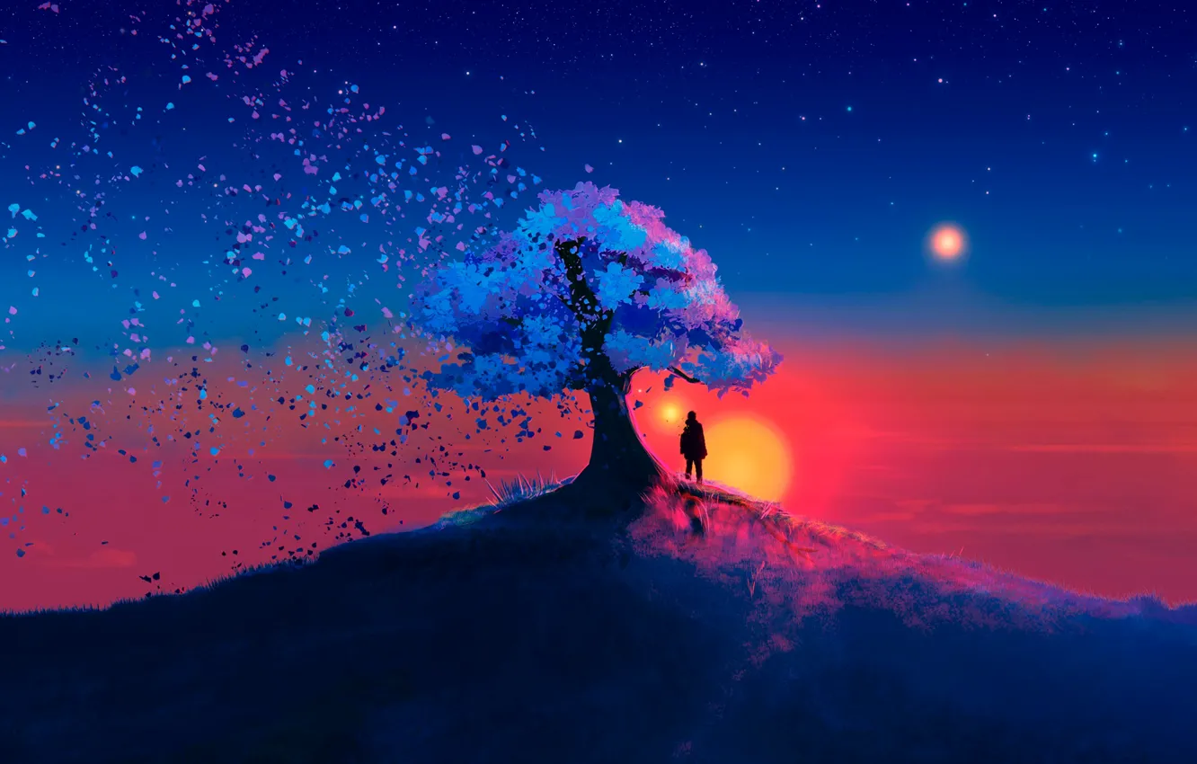 Photo wallpaper the sun, stars, tree, the moon, moon, stars, tree, sun