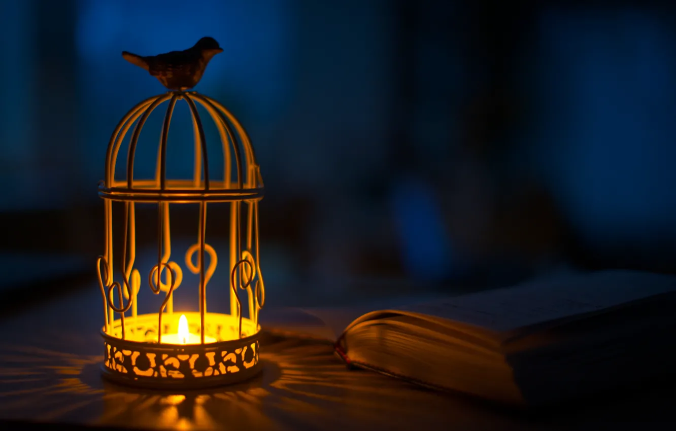Photo wallpaper light, bird, shadow, candles, lights, flashlight, book