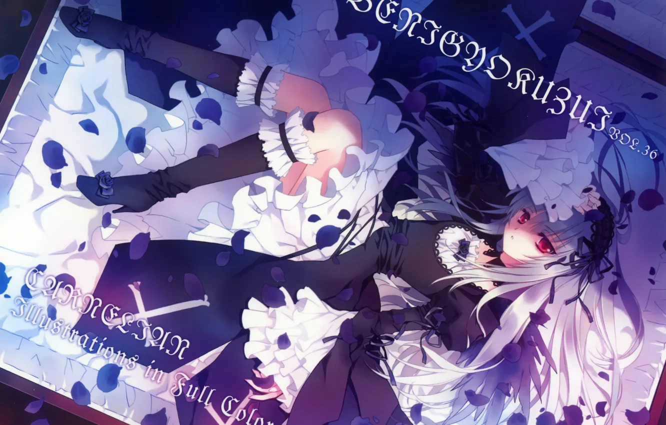 Photo wallpaper cross, petals, suitcase, red eyes, rozen maiden, suigintou, ruffles