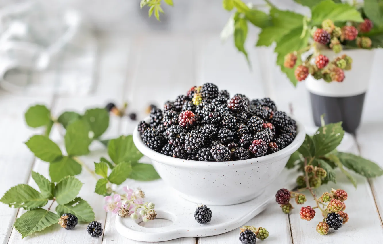 Photo wallpaper berries, bowl, BlackBerry, ripe, twigs, Karina Klachuk