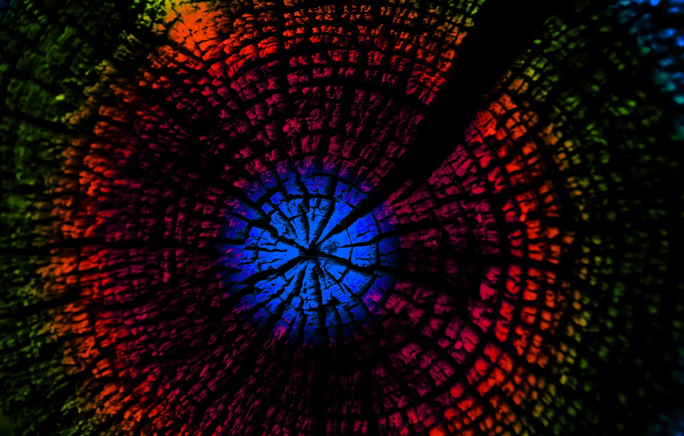 Photo wallpaper trees, cracked, color, rainbow, the end