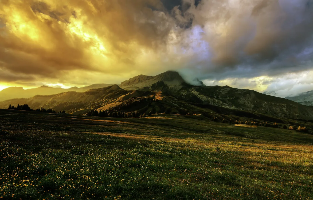 Photo wallpaper field, mountains, clouds, France, Alps, Alpes, Provence