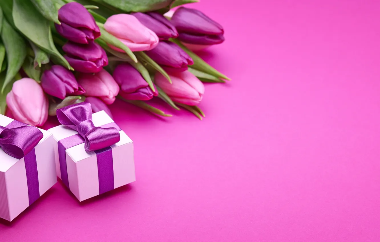 Photo wallpaper gift, bouquet, tulips, love, pink, bow, fresh, pink