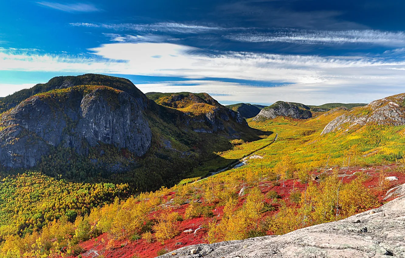 Photo wallpaper autumn, forest, the sky, the sun, clouds, trees, mountains, stones