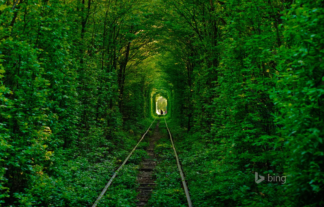 Photo wallpaper road, forest, trees, rails, silhouette, Ukraine, tunnel of love, Klevan