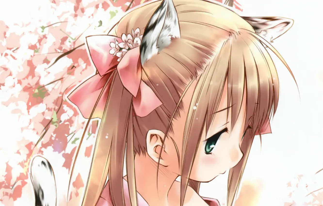 Photo wallpaper head, Sakura, girl, tail, bow, ears, bangs, neko girl