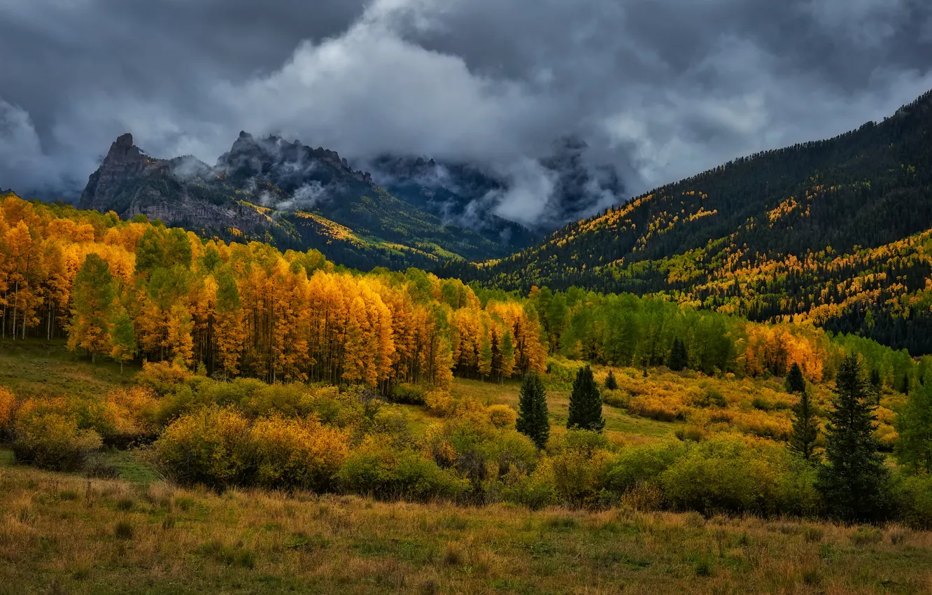 Photo wallpaper autumn, forest, mountains, clouds, Colorado, USA, rainy day, San Juan Mountains