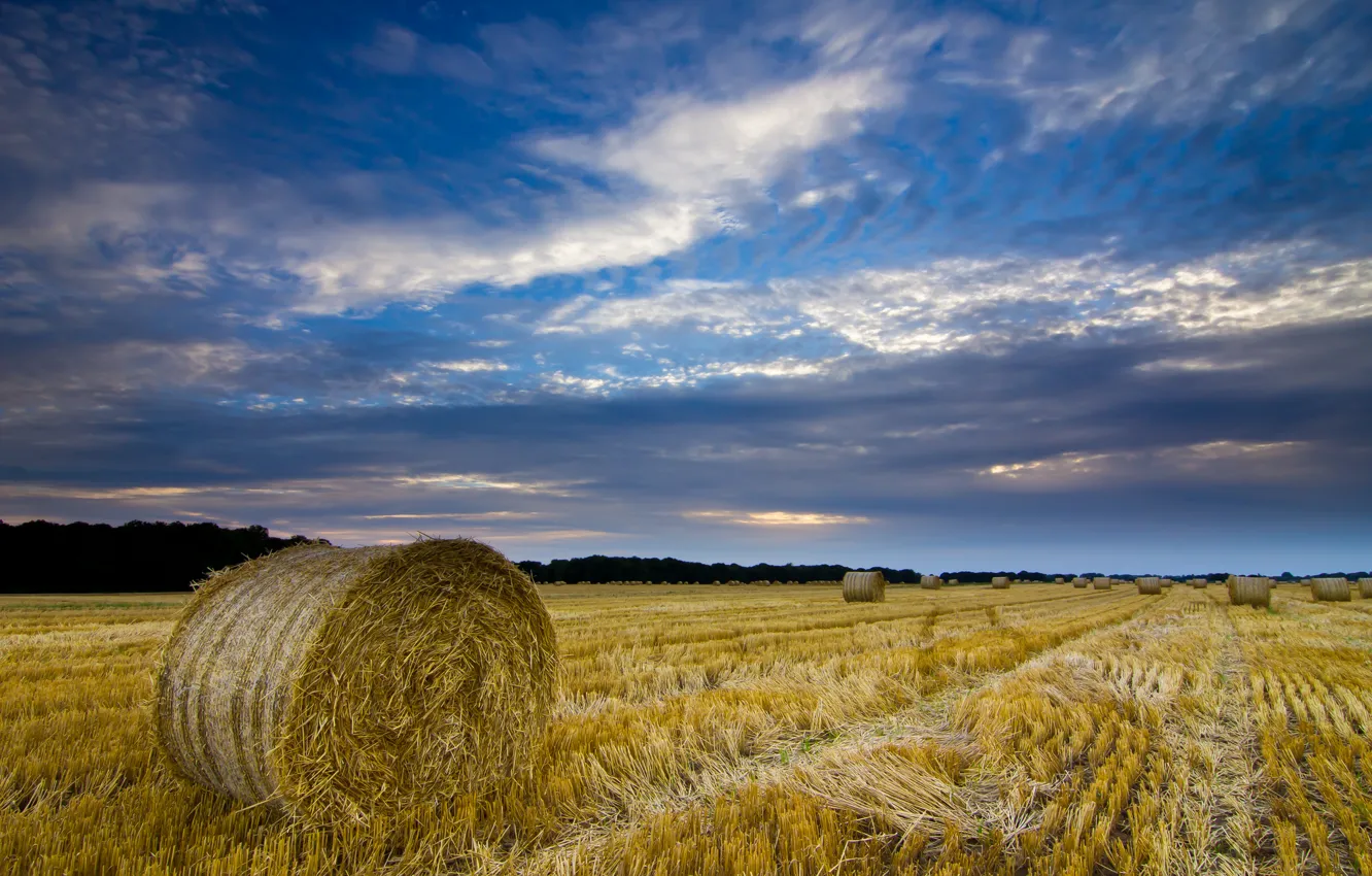 Photo wallpaper field, the sky, clouds, clouds, England, the evening, harvest, hay