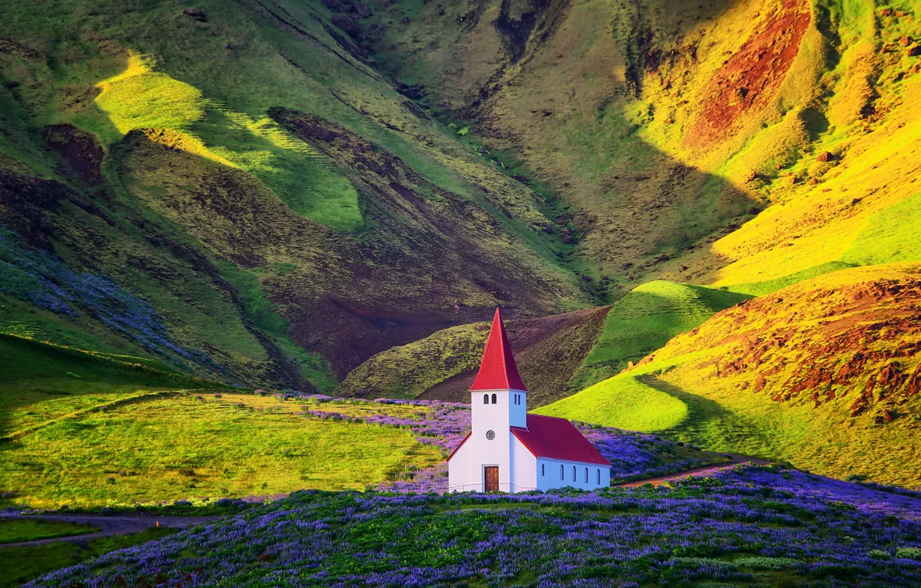 Photo wallpaper colorful, photography, landscape, nature, photographer, flowers, mountains, Iceland