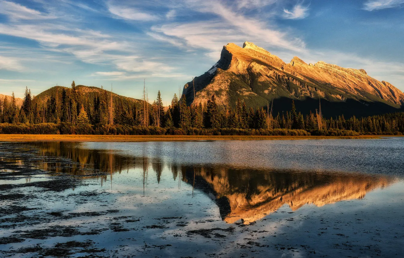 Photo wallpaper forest, sunset, mountains, nature, lake