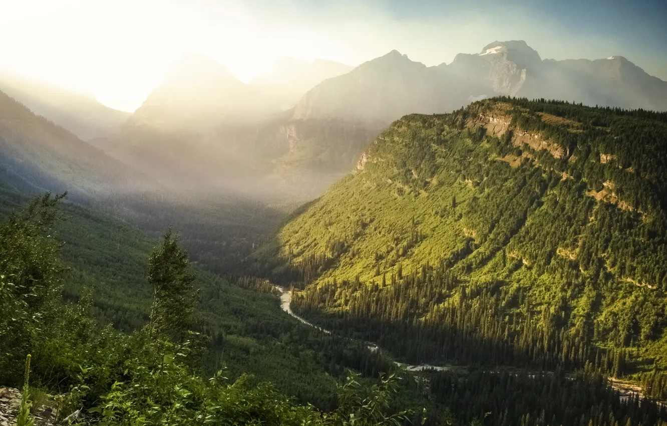 Photo wallpaper forest, mountains, view, valley, USA, national Park, Glacier National Park, panorama