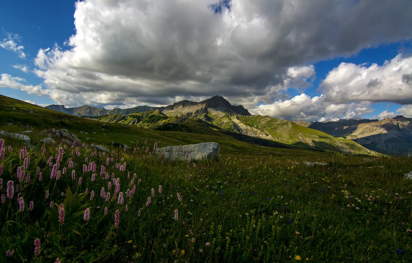 Photo wallpaper grass, clouds, mountains, stones, France, meadow, Lupin, Colmars