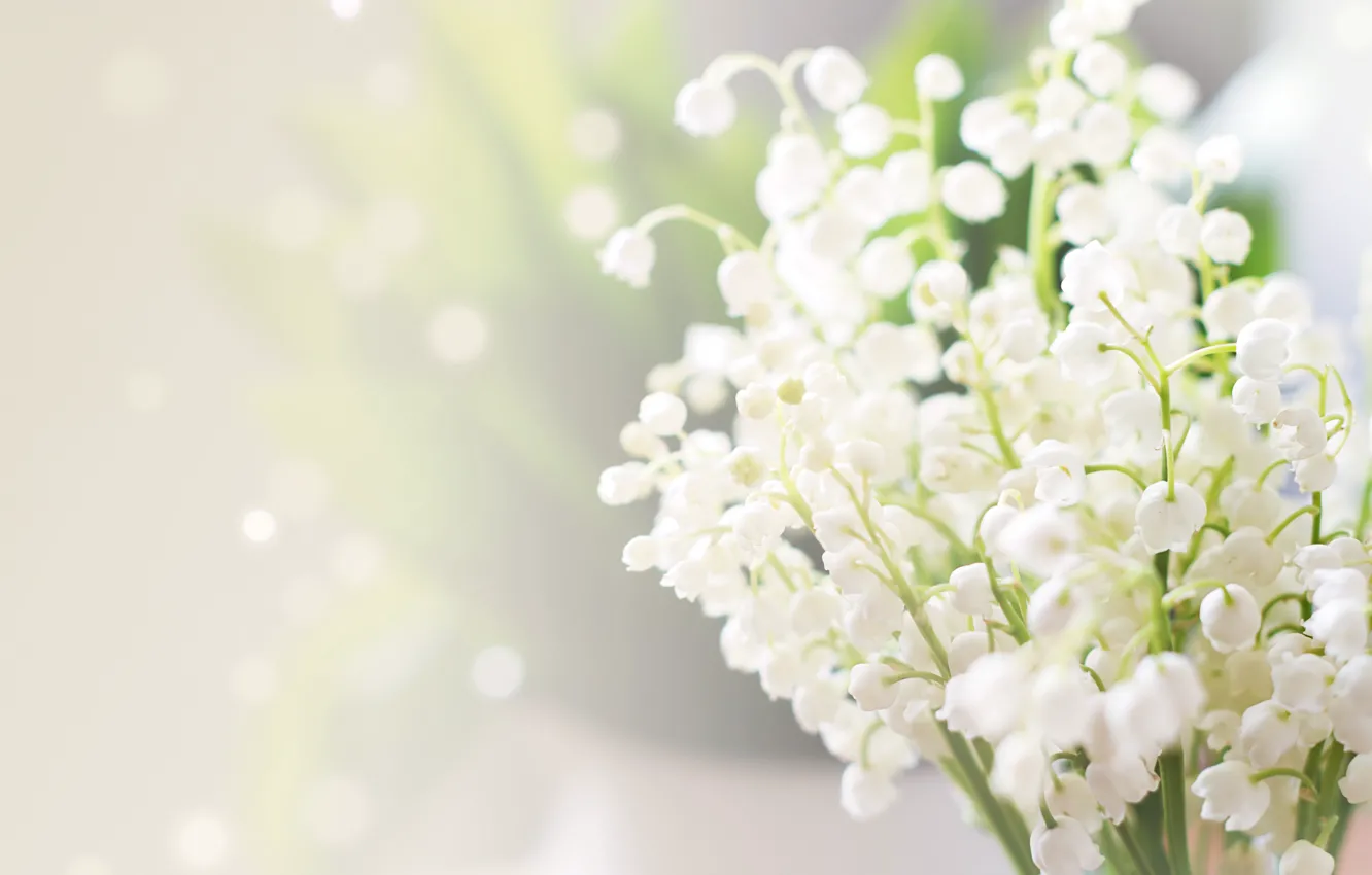 Photo wallpaper macro, glare, blur, white, lilies of the valley, bokeh