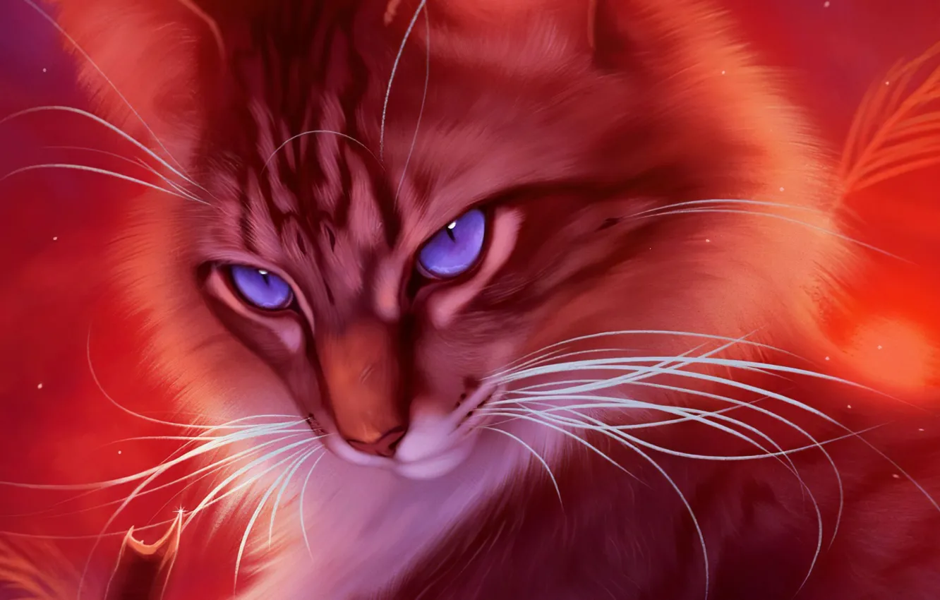 Photo wallpaper eyes, mustache, look, face, figure