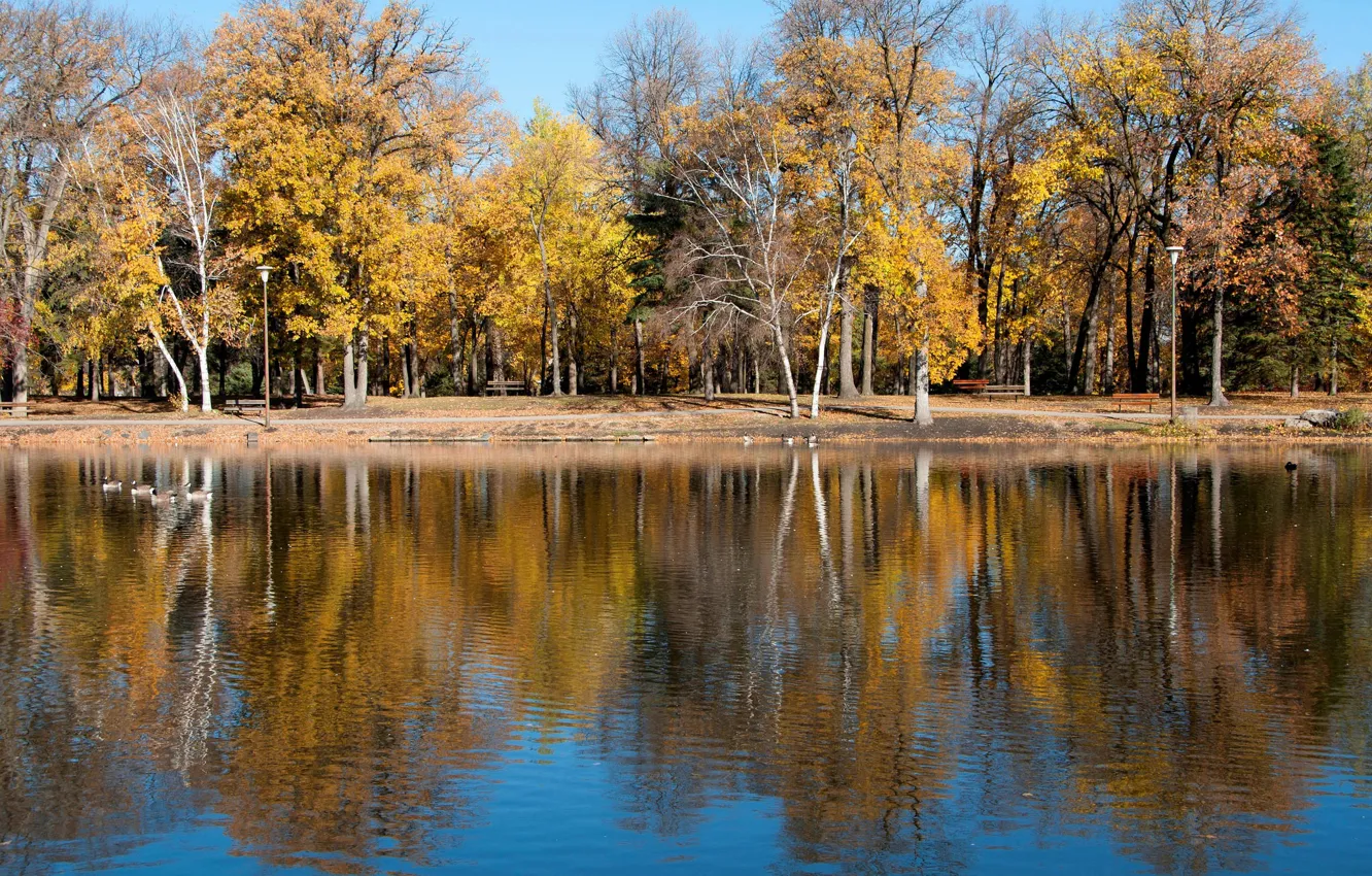 Photo wallpaper autumn, trees, lake, pond, Park