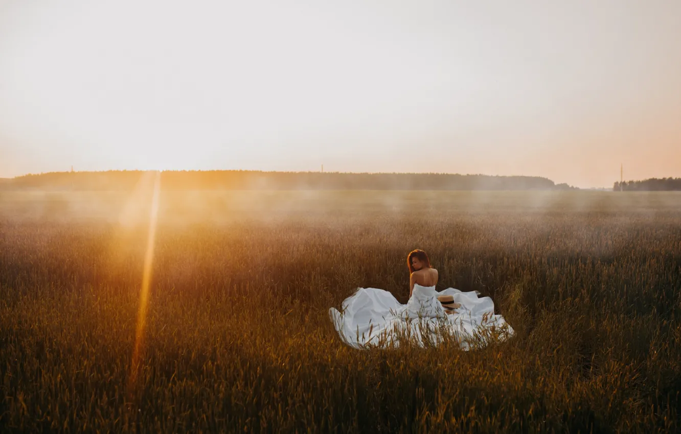 Photo wallpaper greens, field, forest, grass, rays, mood, dawn, dal