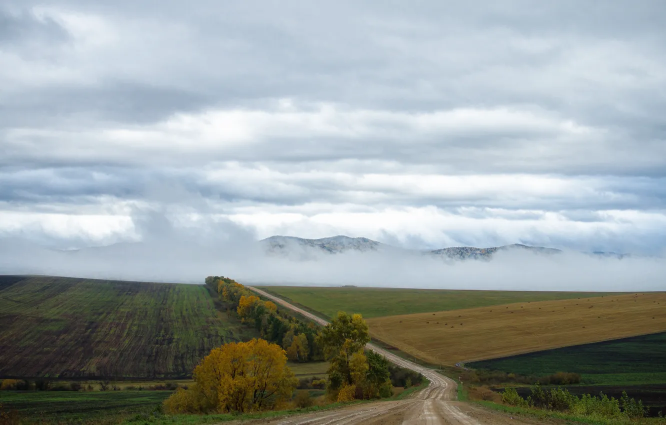 Photo wallpaper autumn, mountains, nature, rain, Khakassia, fog in the mountains