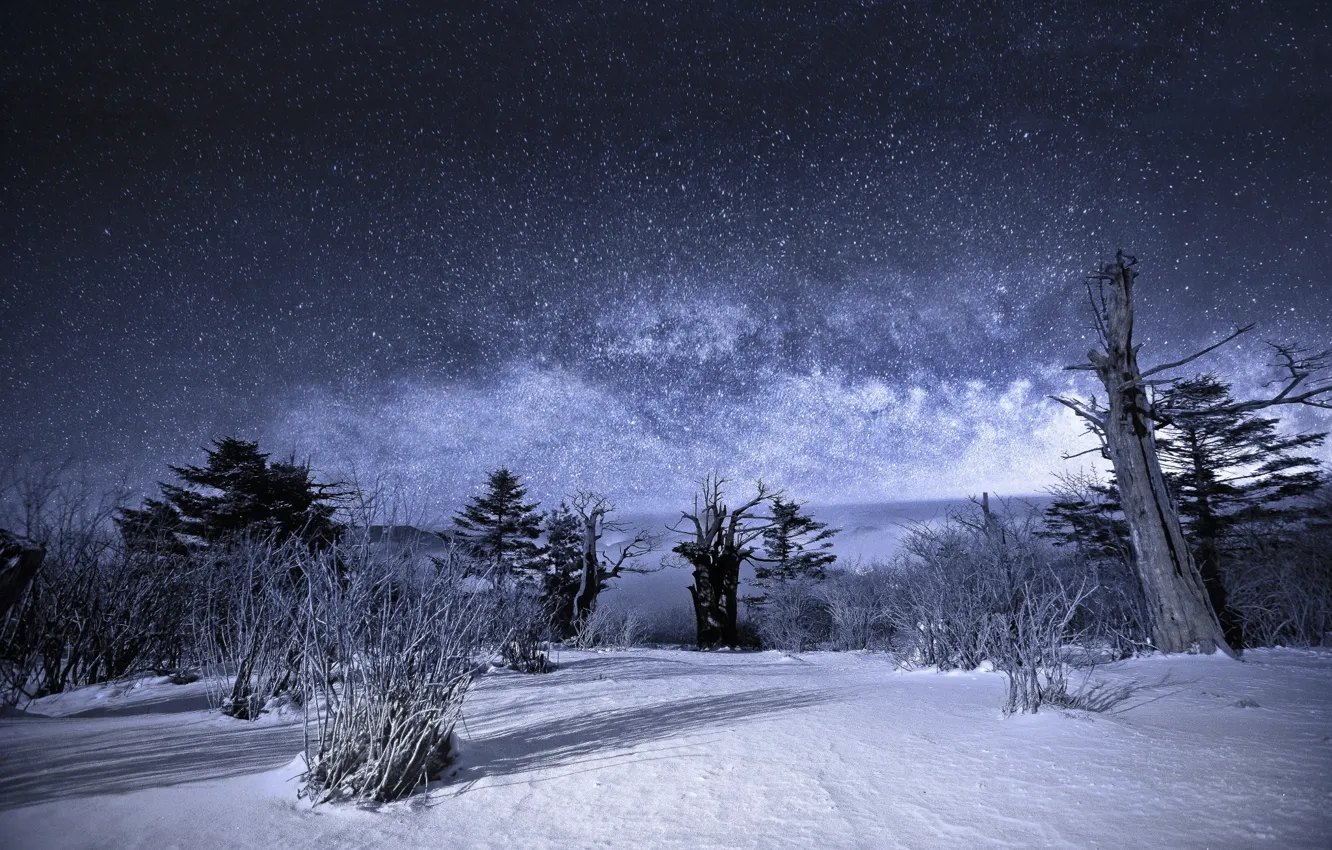 Photo wallpaper winter, the sky, stars, snow, trees, landscape, night, nature
