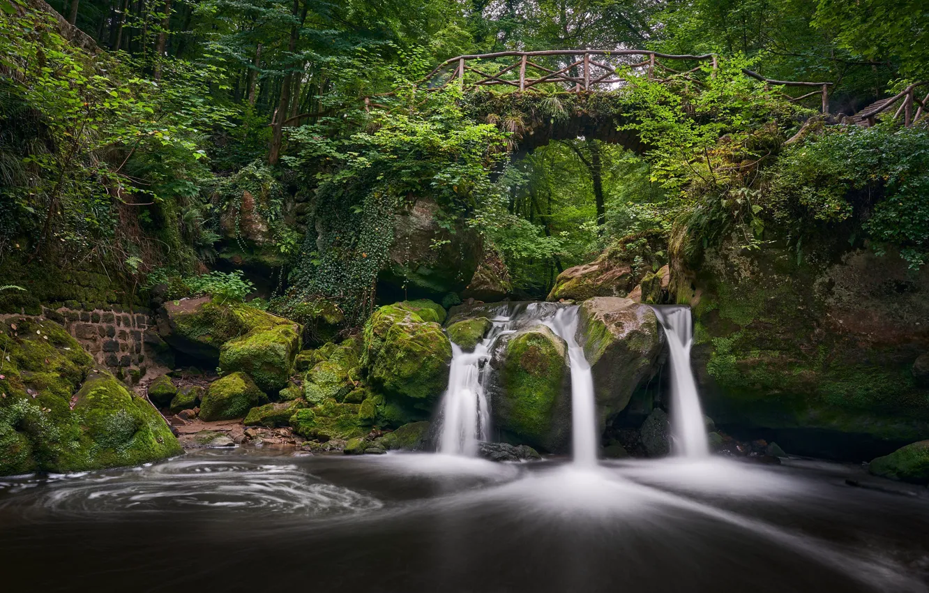 Photo wallpaper forest, bridge, river, stones, waterfall, moss, Luxembourg, Luxembourg